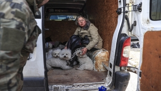 İrpin’den tahliye edilen Ukraynalı kadın 24 köpeği de Kiev’e getirdi