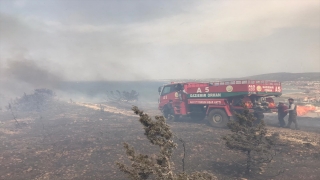 İzmir’in Çeşme ilçesinde otluk alanda yangın çıktı