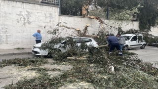 İzmir’de rüzgar nedeniyle 2 otomobilin üzerine ağaç devrildi