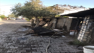 Bodrum’da ahır ve odunlukta çıkan yangın söndürüldü