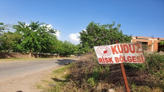 Hatay’da bir mahalle kuduz karantinasına alındı