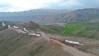 Van’da ulaşım sıkıntısı nedeniyle ekilemeyen 4 bin dönüm arazi için yol yapıldı