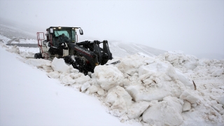 Van ve Bitlis’te kar etkili oldu