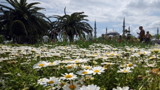 Tarihi Yarımada’da turist yoğunluğu