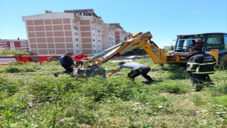 Hatay’da kanalizasyon çukuruna düşen inek telef oldu