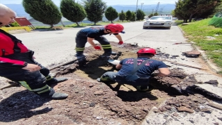 Kocaeli’de yağmur suyu kanalına sıkışan köpek yavrusunu itfaiye kurtardı