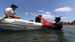 Bodrum’da dalgıçlar denizin dibini temizledi