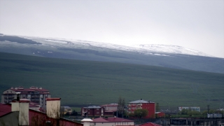 Erzurum ve Ardahan’ın yüksek kesimleri mayısta yağan karla beyaza büründü