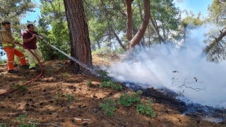 Manavgat’ta çıkan orman yangını söndürüldü