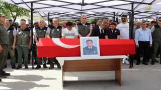 Muğla’da otomobilin çarptığı orman muhafaza memuru öldü