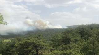 Bolu’da çıkan orman yangınına müdahale ediliyor