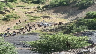 Şırnak’ta kamyonetin şarampole devrilmesi sonucu 3 kişi öldü, 2 kişi yaralandı