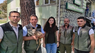 Manisa’da ormancıların bitkin halde bulduğu yavru karaca beslenip doğaya salındı