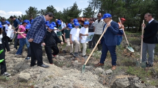 Karabük’te yanan ormanlık alan ağaçlandırıldı