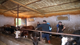 Trakya’ya gidecek kurbanlıklara şap önlemi