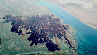 Köyceğiz Gölü’nün sazlık alanındaki yangınla ilgili 3 kişi gözaltına alındı