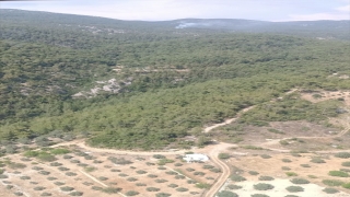 Muğla’da yıldırım düşmesi sonucu orman yangını çıktı