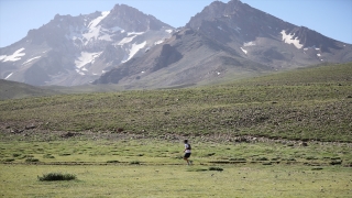 Uluslararası Erciyes Ultra Sky Trail Dağ Maratonu, 12 Temmuz’da koşulacak