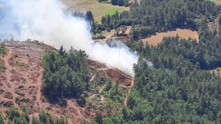 Çanakkale Yenice’de ormanlık alanda yangın çıktı