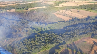 Çanakkale’deki orman yangını kontrol altına alındı