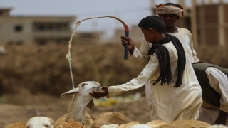 Sudan’da kurban pazarlarında durgunluk yaşanıyor