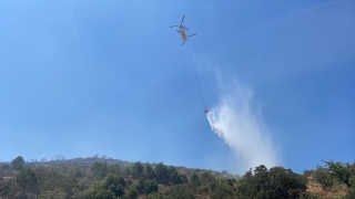 Muğla’da tarım arazisi ve makilik alanda çıkan yangın söndürüldü