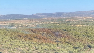 GÜNCELLEME Bodrum’da ormanlık alanda çıkan yangın söndürüldü