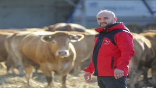 Almanya’daki ”şoksuz kesim” yasağı nedeniyle kurbanlarını Polonya’da kestirdiler