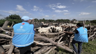 TDV, Burkina Faso’da 125 bin aileye kurban eti ulaştırdı