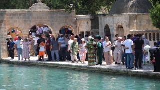 Şanlıurfa’daki Balıklıgöl’de bayram yoğunluğu