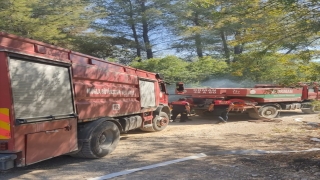 Muğla’da çıkan orman yangınları söndürüldü