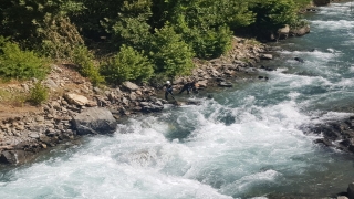 Müküs Çayı’na düşen hemşireyi arama çalışmaları 39’uncu gününde sürüyor