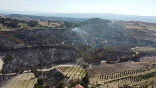 GÜNCELLEME Manisa’daki orman yangınına ilişkin 2 kişi gözaltına alındı