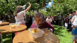 Bağcılar Belediyesince 11. Kayısı Festivali düzenledi