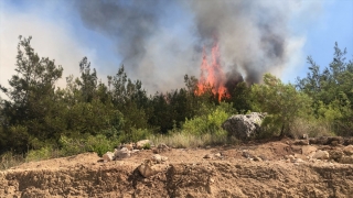 Adana’da çıkan orman yangınına müdahale ediliyor