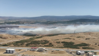 İzmir’deki otluk alan yangınlarına müdahale ediliyor