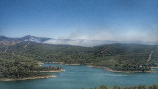 İzmir’de çıkan orman yangınına müdahale ediliyor