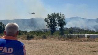 Kırklareli’nde çıkan orman yangınına müdahale ediliyor