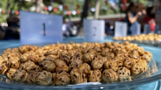 Çorum’un en iyi leblebi üreticileri belirlendi