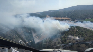 GÜNCELLEME Çanakkale’deki orman yangını kontrol altına alındı