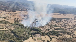 Milas’ta orman ve makilik alanda çıkan yangına müdahale ediliyor