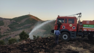 Bingöl’de çıkan orman yangınları söndürüldü