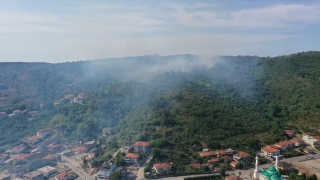 Sakarya’da çıkan orman yangınına müdahale ediliyor