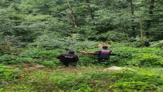 Artvin’de çay toplarken kaybolan kişi bulundu 