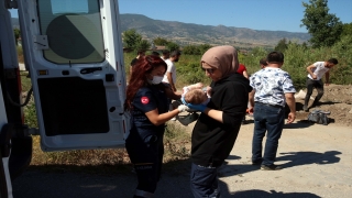 Tokat’ta şarampole devrilen otomobildeki 1’i bebek 3 kişi yaralandı