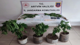 Artvin’deki uyuşturucu operasyonunda 3 kişi tutuklandı