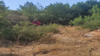 Bodrum’da kaybolan hukuk fakültesi öğrencisi için arama çalışması başlatıldı