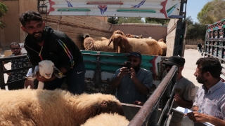 İHH’den Barış Pınarı Harekatı bölgesindeki mağdur ailelere küçükbaş hayvan desteği