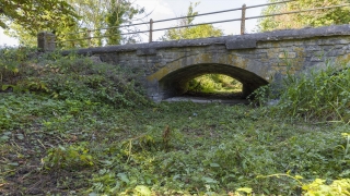 İngiltere’deki Thames Nehri’nin kaynağı kuruyor