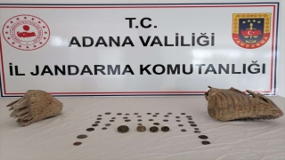 Adana’da mamut çenesi olduğu değerlendirilen iki fosil ele geçirildi